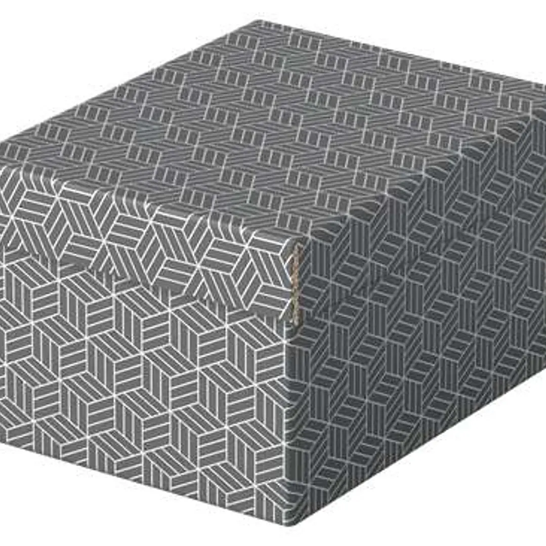 Esselte Pack de 3 Cajas Pequeñas de Almacenamiento con Tapa 200x150x255mm - Carton 100% Reciclado y Reciclable - Diseño Gris con Dibujo 1