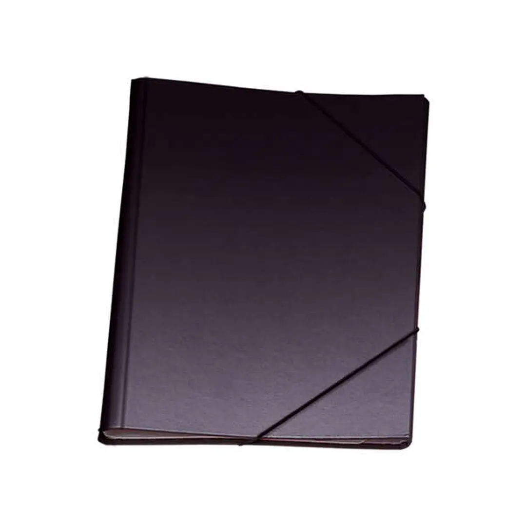 Dohe Carpeta Clasificadora 12 Departamentos - Formato Folio - Carton Plastificado - Cierre con Gomas - Color Negro 1