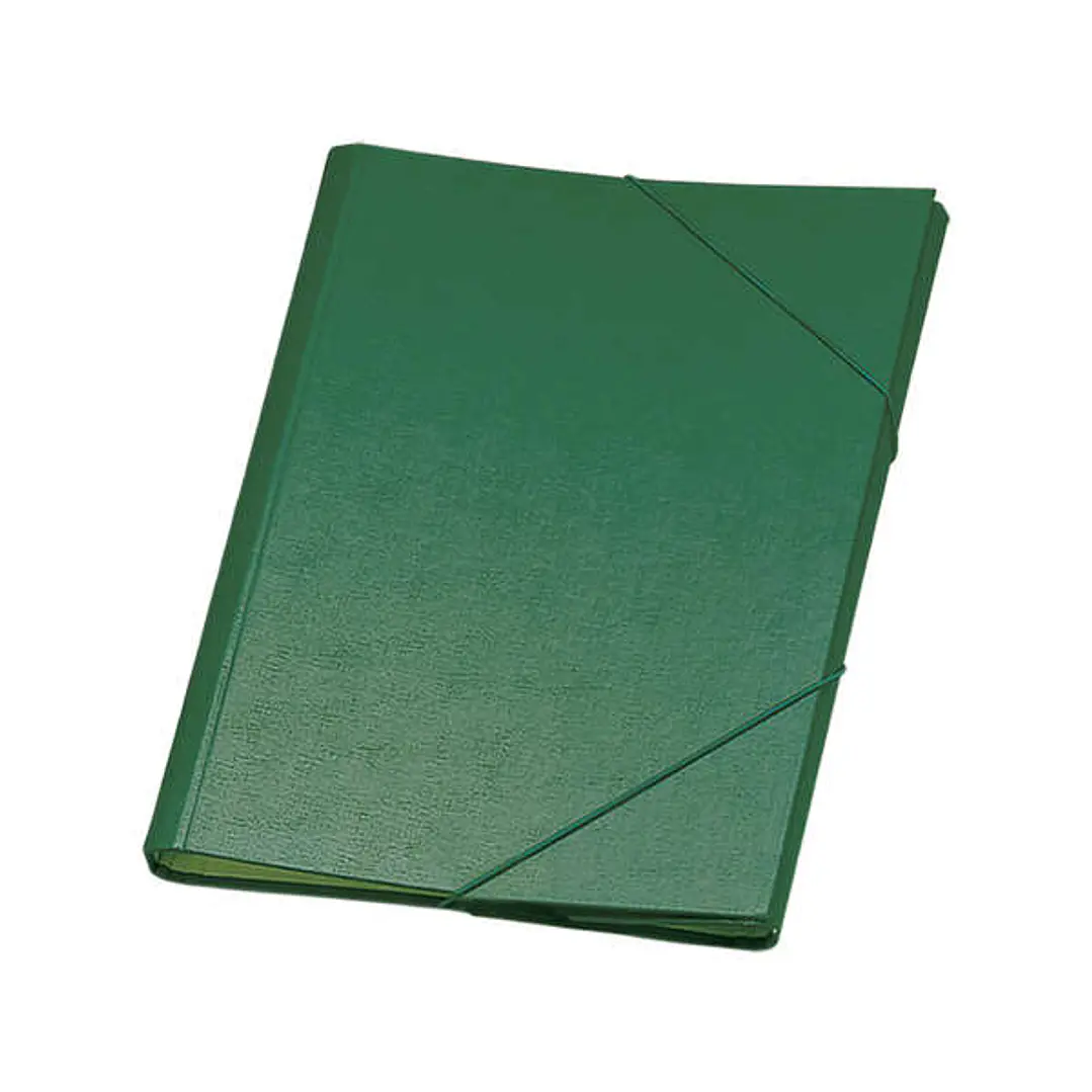 Dohe Carpeta Clasificadora 12 Departamentos - Formato Folio - Carton Plastificado - Cierre con Gomas - Color Verde 1