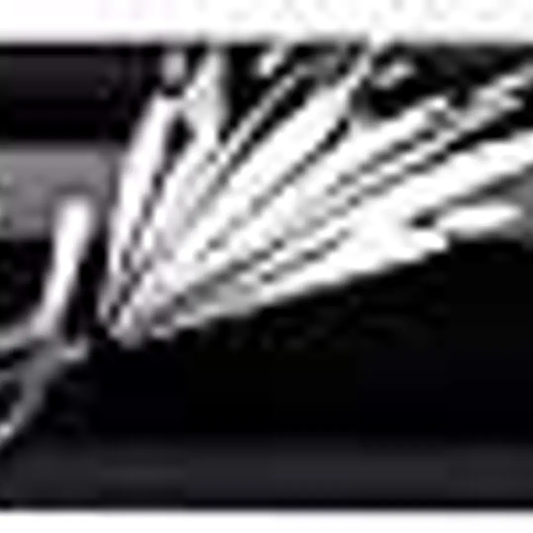 Bic Intensity Fine Rotulador de Punta Fina de 0.8mm - Trazo de 0.4mm - Tinta con Base de Agua - Color Verde 1