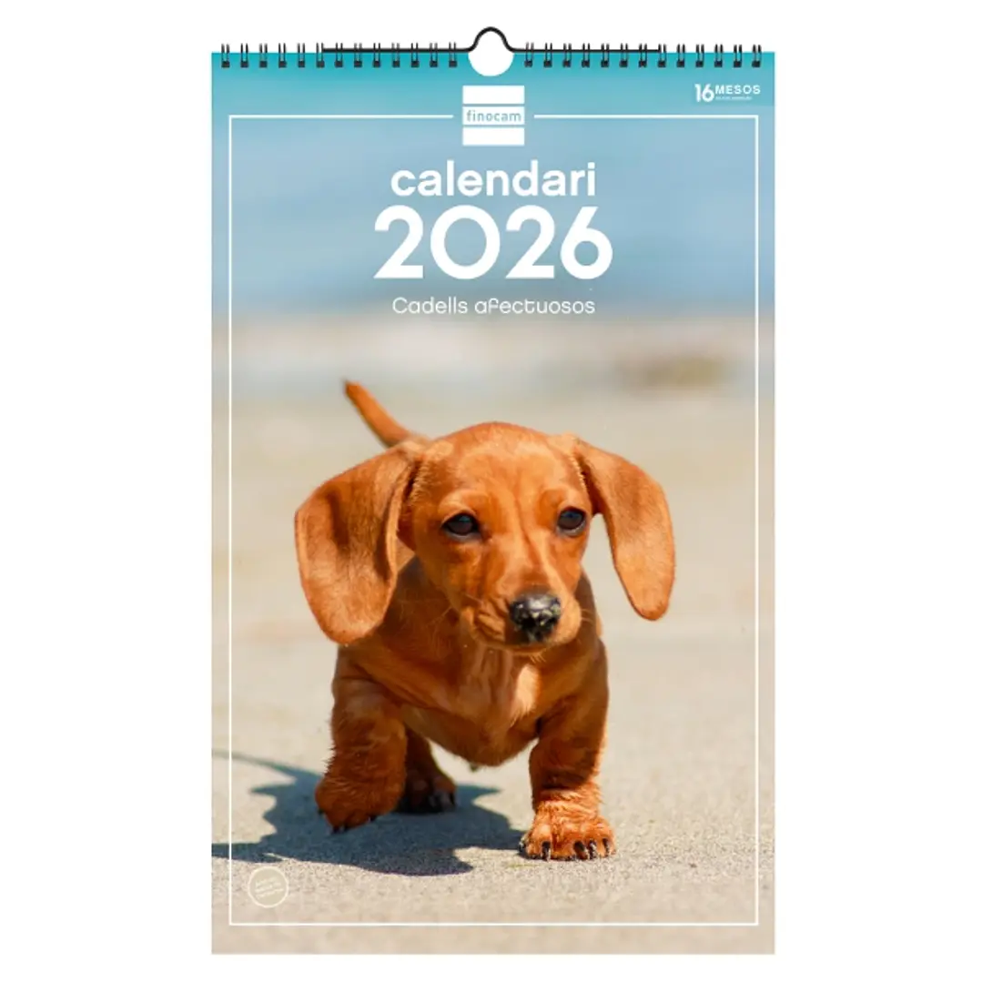 Finocam Calendario de Pared en Catalan - Anual 2026 - Imagenes Variadas - con Espiral - Espacio para Escribir - Tematica de Cachorros 1