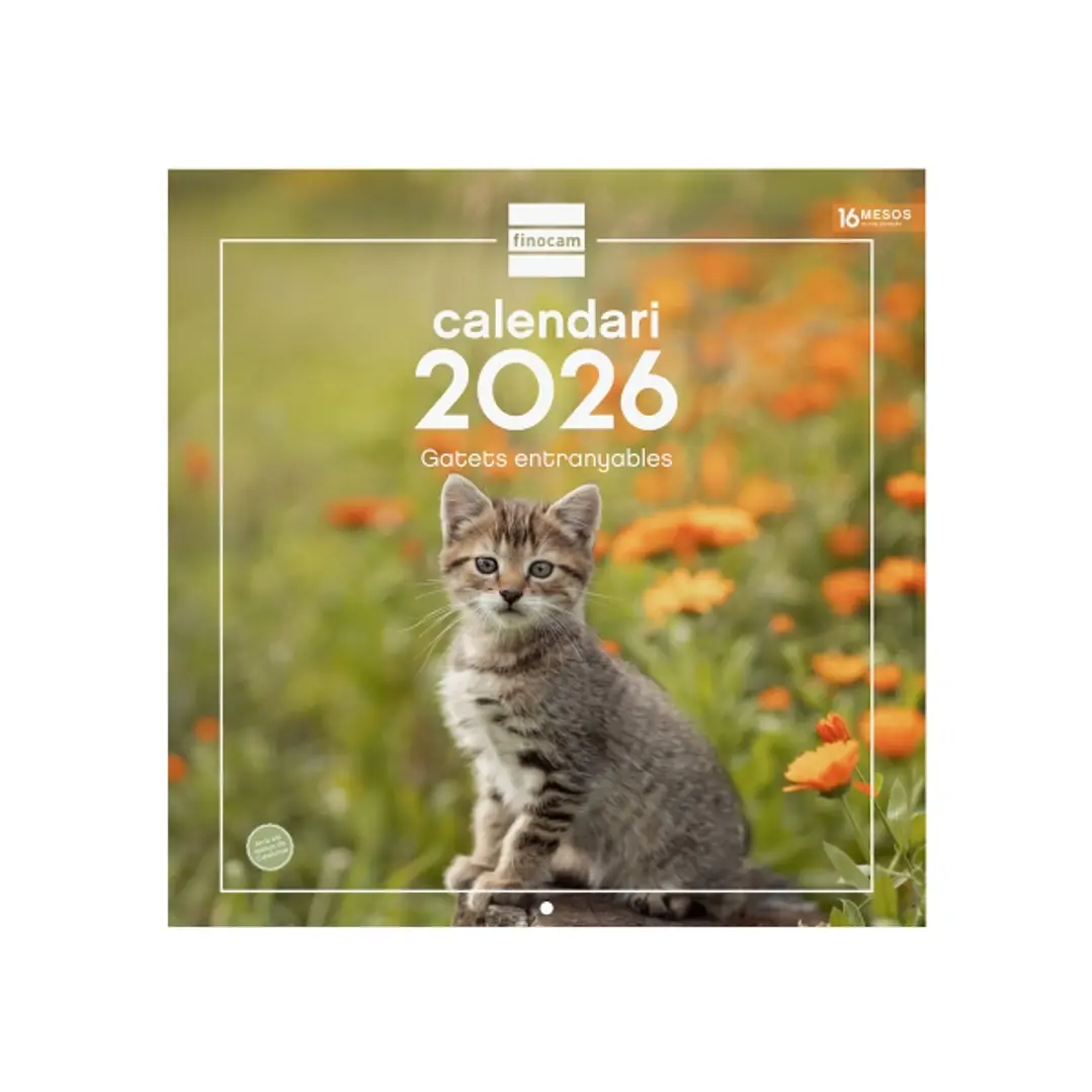 Finocam Calendario de Pared en Catalan - Anual 2026 - Imagenes Variadas - 300x300mm - Espacio para Escribir - Tematica de Gatos 1