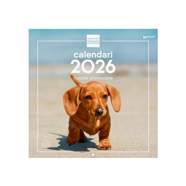 Finocam Calendario de Pared en Catalan - Anual 2026 - Imagenes Variadas - 300x300mm - Espacio para Escribir - Tematica de Cachorros 1