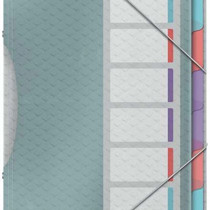 Esselte Colour'Breeze Clasificador con 6 Pestañas Multicolor - Para Formato A4 - 3 Solapas en la Contraportada - Polpropileno en Relieve - Cierre con  1