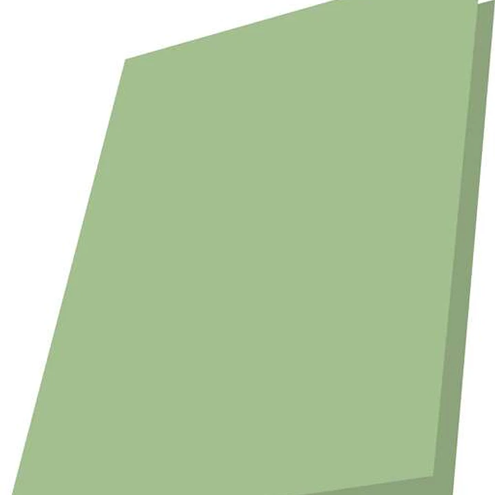 Mariola Pack de 50 Subcarpetas de Cartulina 180gr - Formato A4 - Ranura para Fastener - Color Verde 1