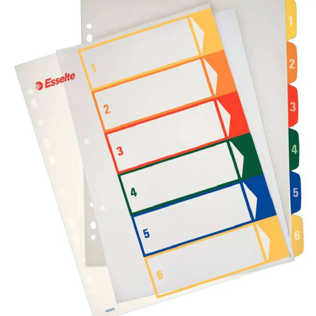 Esselte Indice Proyectos Imprimibles Tipo 1-6 Multicolor - Tamaño A4 Maxi - Material PP Rigido 300 Micras, Portada 350 Micras 1