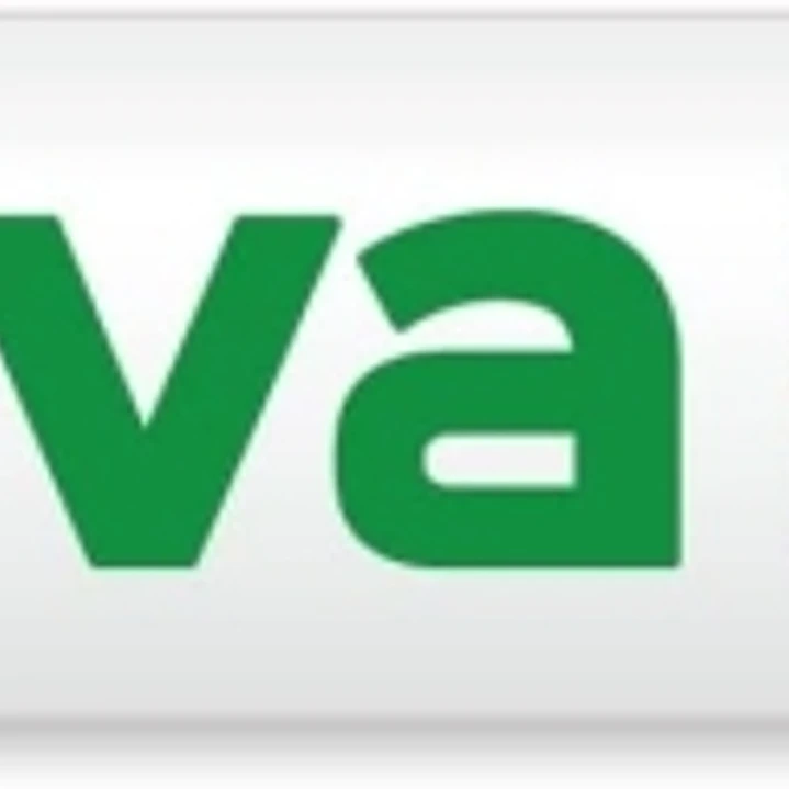 Molin Viva Rotulador para Pizarra Blanca - Punta Redonda de Fibra Sintetica - Trazo 3mm - Tinta con Base de Alcohol - Color Verde 1