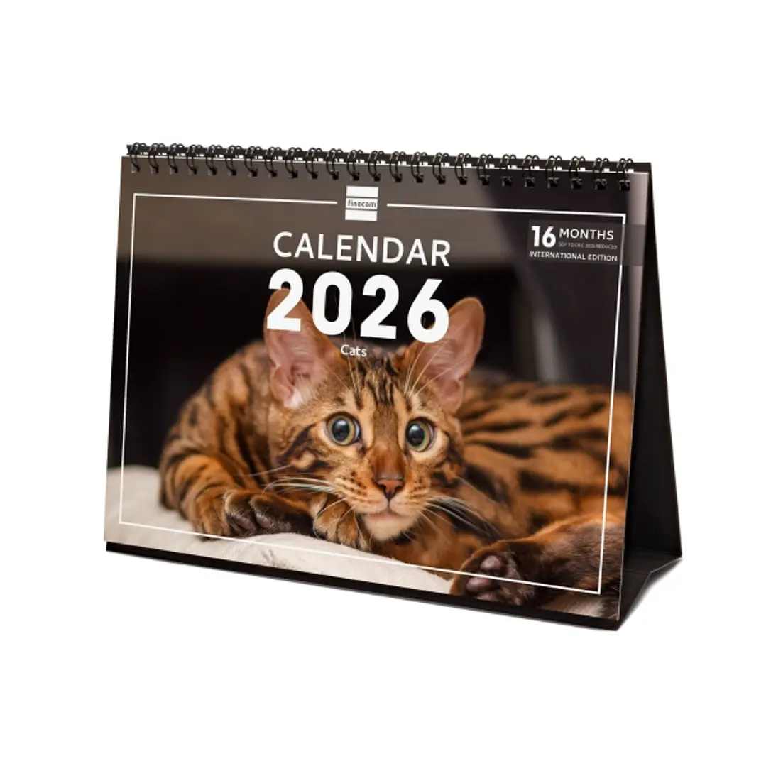 Finocam Calendario de Sobremesa Internacional - Anual 2026 - Imagenes Variadas - 210x70x155mm - Tematica de Gatos 1