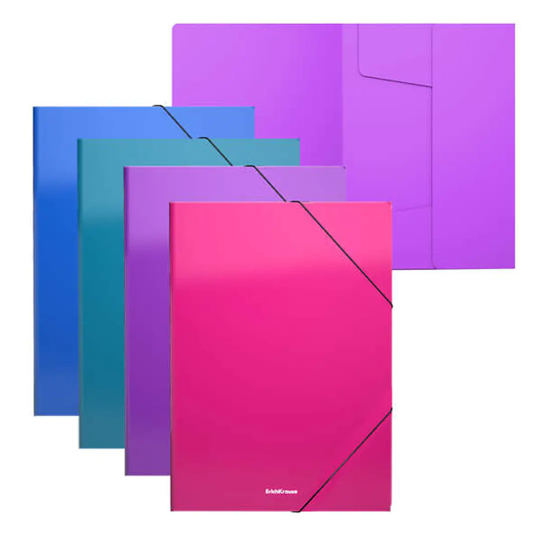 Erichkrause Pack de 4 Carpetas Solapas Matt Vivid A4 - Fabricadas en Polipropileno - Colores Surtidos 1