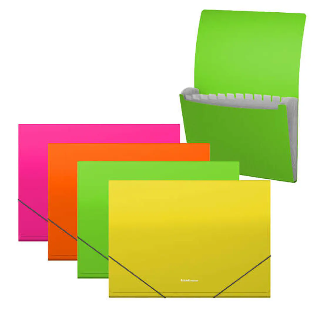 Erichkrause Clasificadores Matt Neon - 12 Fundas - Tamaño A4 - Color Surtidos 1