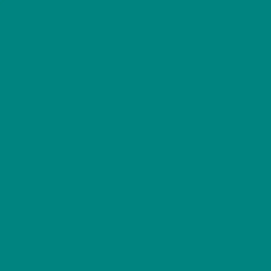 Canson Guarro Pack de 25 Cartulinas Iris de 185g - 50x65cm - Color Verde Menta 1