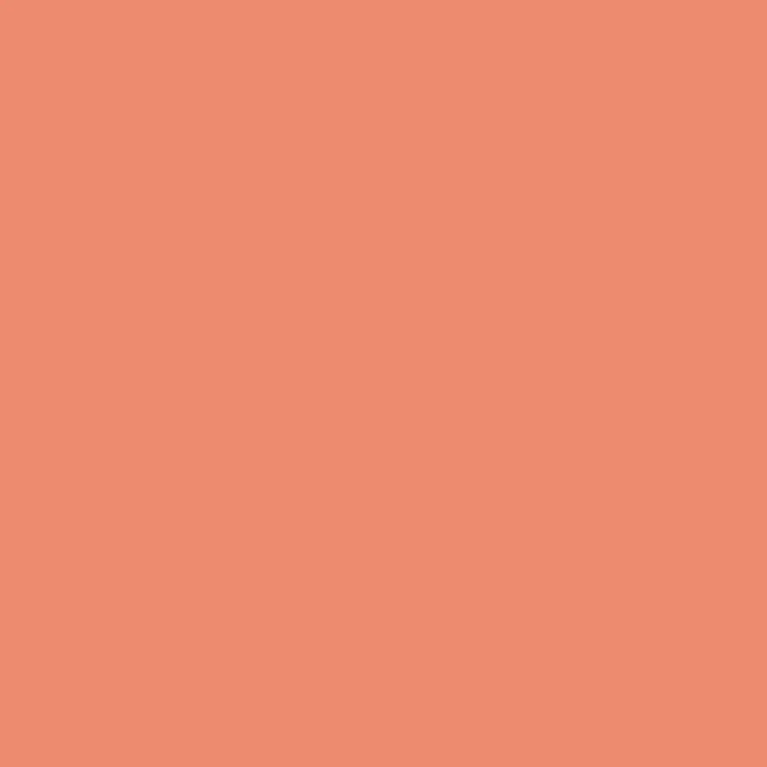 Canson Guarro Pack de 25 Cartulinas Iris de 185g - 50x65cm - Color Coral 1