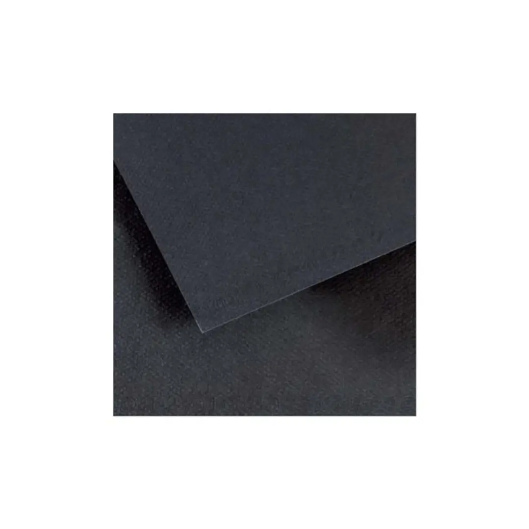 Canson Mi-Teintes Pack de 10 Hojas 160 g/m² - Tamaño 50 x 65cm - Doble Cara Grano Nido de Abeja y Grano Fino - Certificado FSC - Color Negro 1