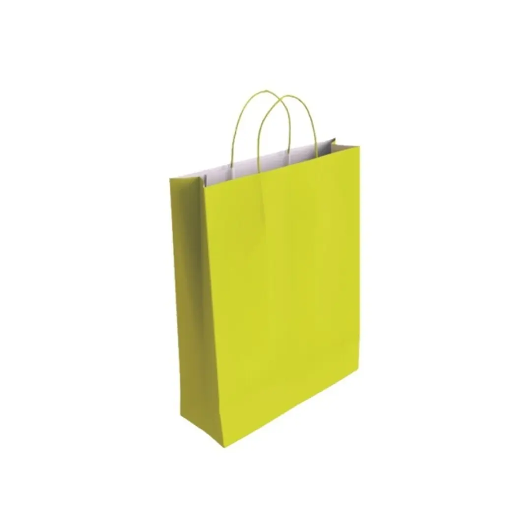 Bismark Bolsa de Papel Celulosa - Medidas 37x12x27cm - Color Pistacho 1