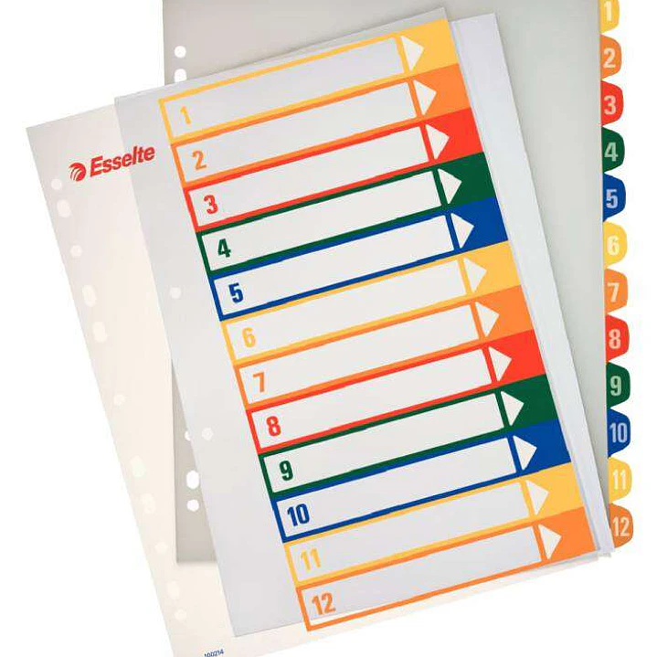 Esselte Indice para Proyectos Imprimible A4 Maxi Tipo 1-12 Multicolor - Multitaladro - Material PP Rigido 300 Micras, Portada 350 Micras 1