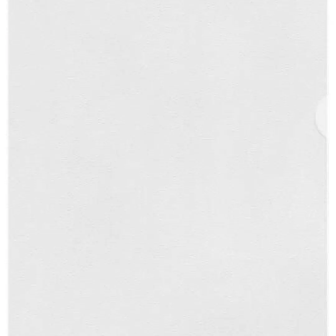 Esselte Caja de 100 Dossiers Uñero Formato A4 - Lamina de PP Piel de Naranja - Grosor 0.11mm 1