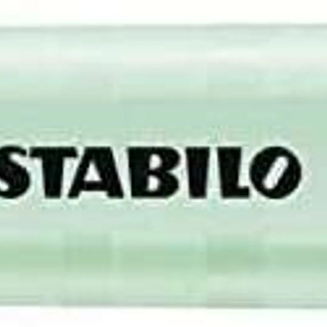 Stabilo Swing Cool Pastel Marcador Fluorescente - Cuerpo Plano - Punta Biselada - Trazo entre 1 y 4mm - Tinta con Base de Agua - Color Pizca de Menta 1