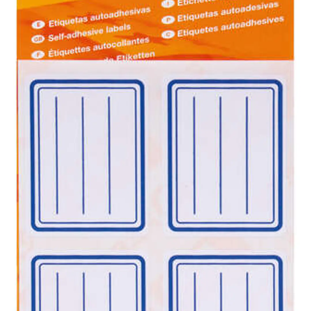 Apli Etiquetas Adhesivas Escolares Basicas - Tamaño 50x38mm - Ribete Azul - Adhesivo Permanente - Ideal para Marcar e Identificar - Color Blanco 1