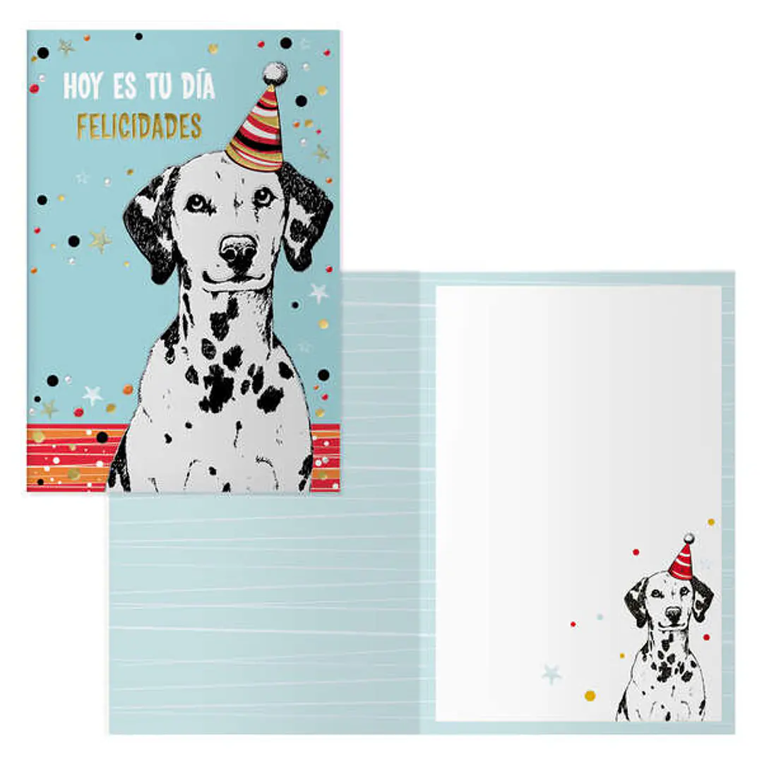Dohe Pack de 6 Tarjetas de Felicitacion de Cumpleaños - 11.5x17cm - Impresion a Todo Color - Estampaciones con Pelicula de Color - Estampacion en Seco 1