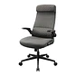 Cougar Silla Stryder Gray - thumbnail 3
