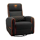 Cougar Sillon Fidom - vignette 2
