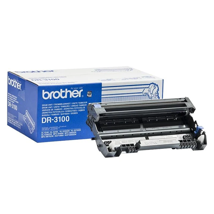 Brother Tambor DR3100 1