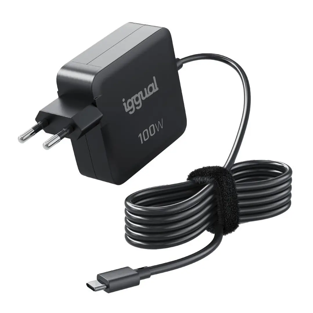 iggual Cargador portátil y móvil tipo C PD 100W 1