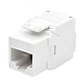 WP Keystone Cat. 6a UTP RJ45/Hembra Blanco - thumbnail 1