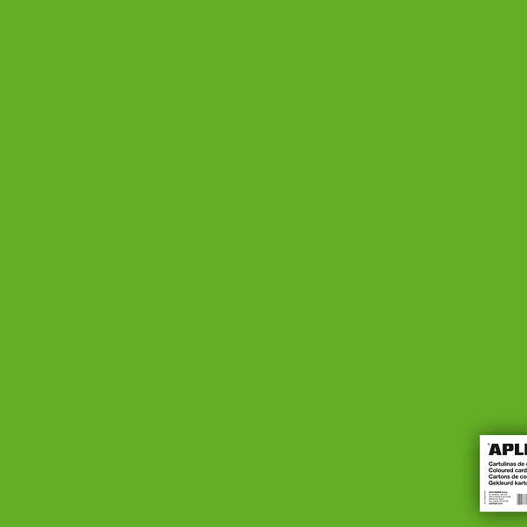 Apli Cartulina Verde Hierba 50 x 65cm 170g 25 Hojas 1
