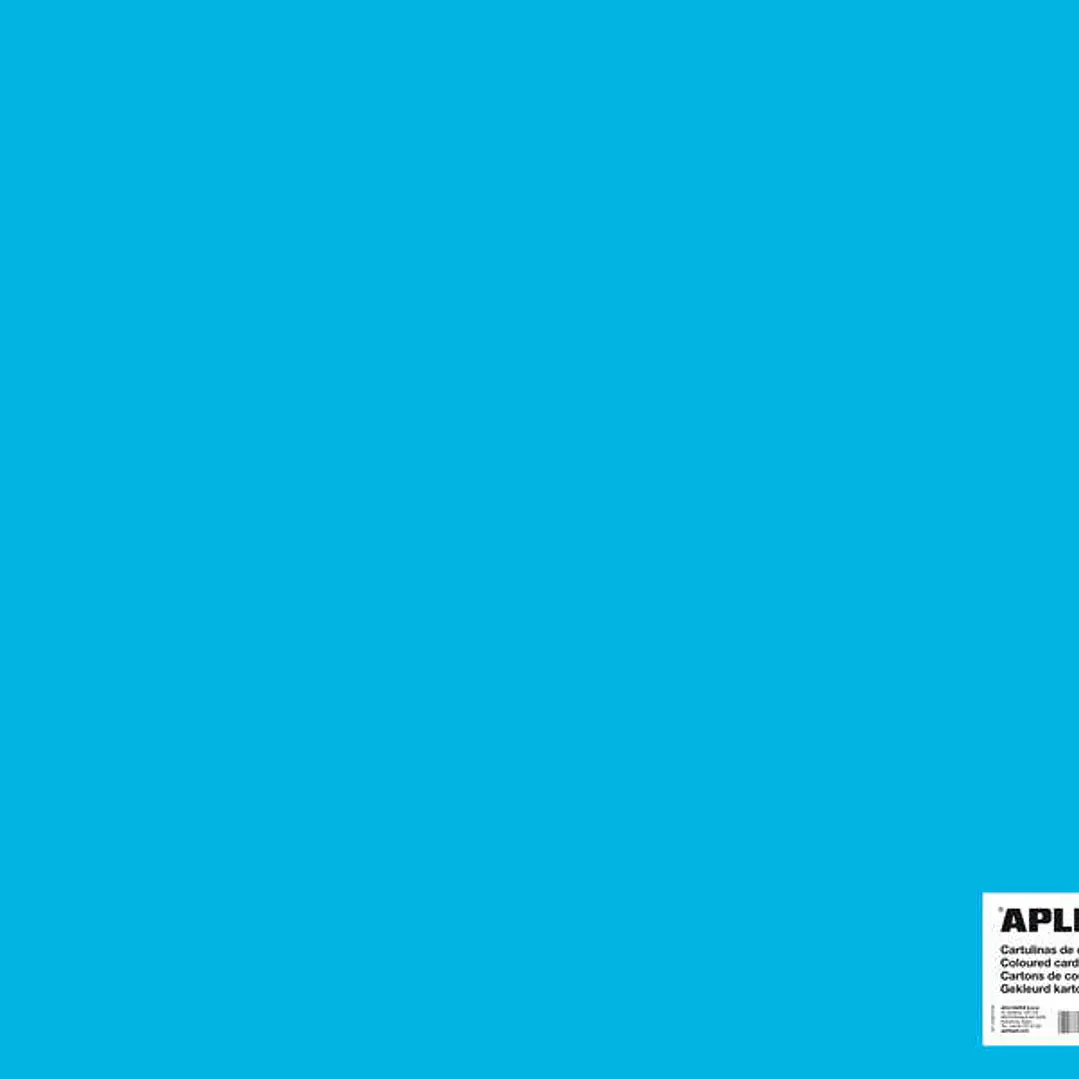 Apli Cartulina Azul Medio 50 x 65mm 170g 25 Hojas 1