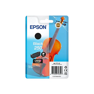 Epson 250 Negro Cartucho de Tinta Original - C13T16N14010