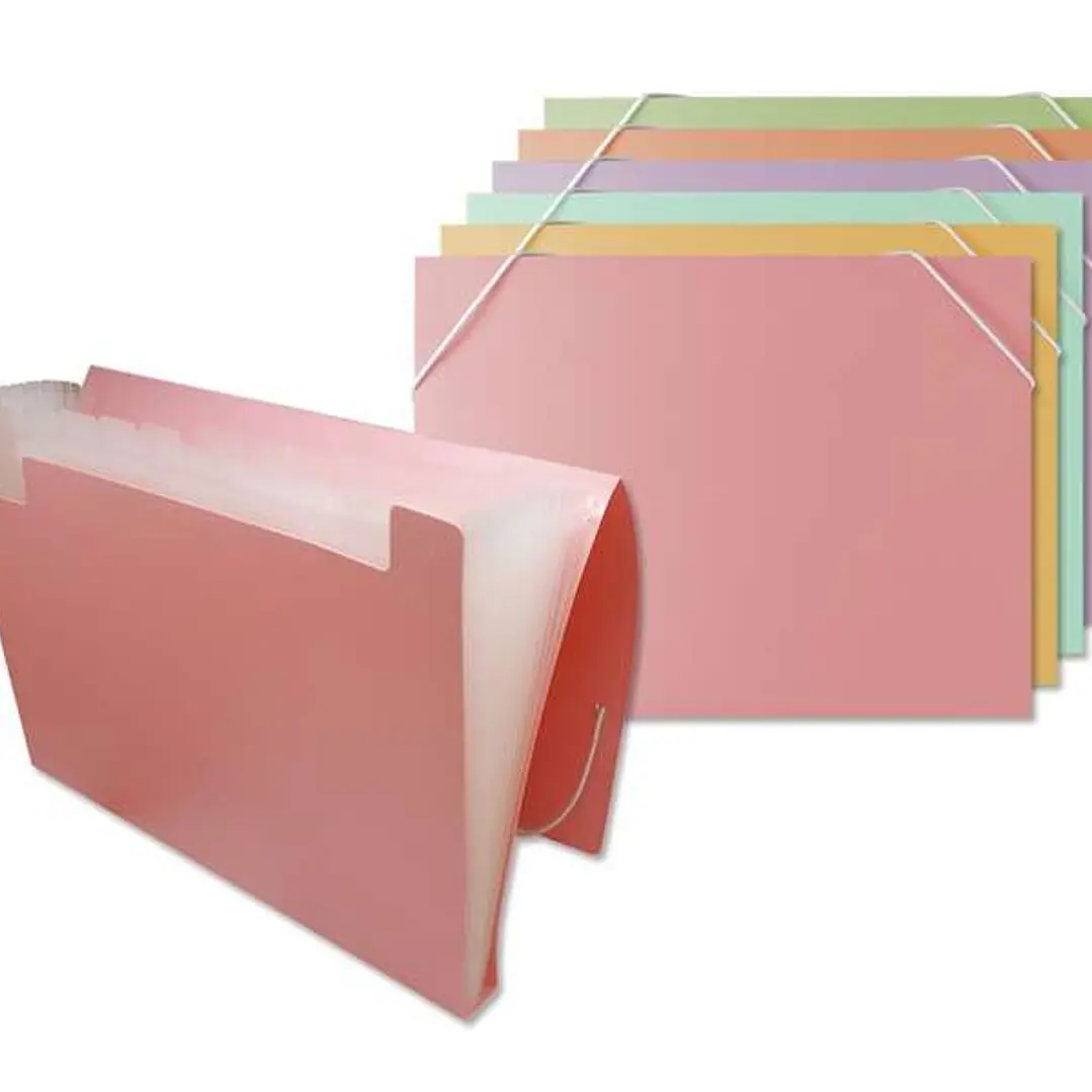 Bismark Pack de 8 Carpetas de Fuelle Polipropileno - 12 Departamentos - Cierre con Gomas - Colores Surtidos Pastel 1