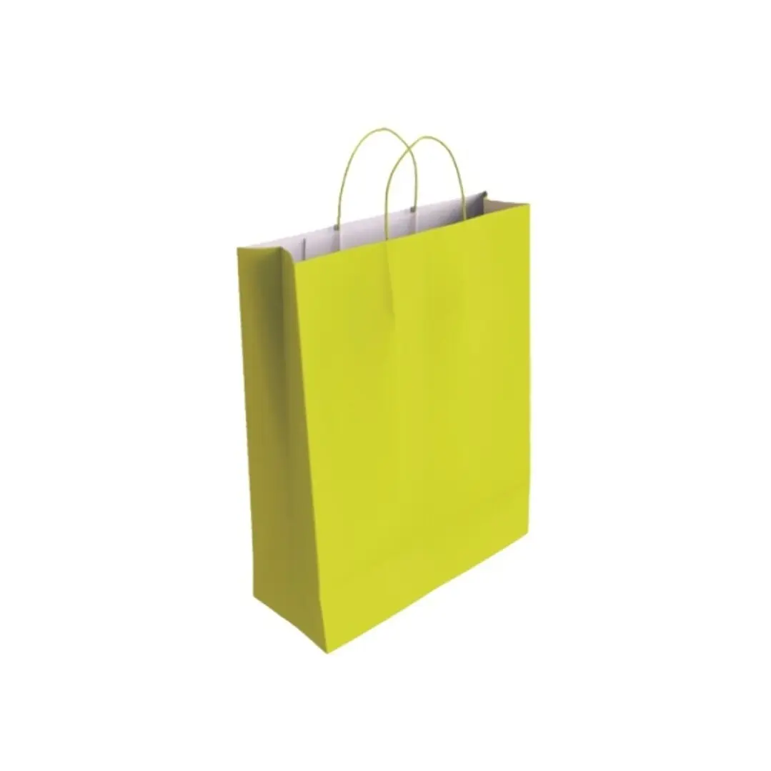 Bismark Bolsa de Papel Celulosa - Medidas 40x14x32cm - Color Pistacho 1