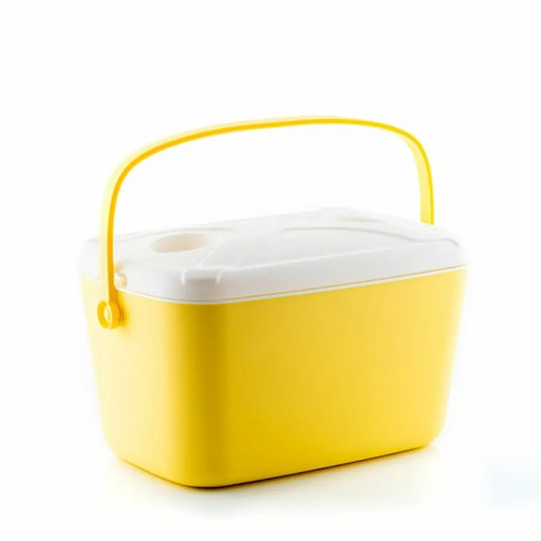 Innovagoods Lilty Nevera Portatil Rigida - Capacidad 15L - Asa de Transporte - Tapa Bandeja - Estilo Retro - Facil Limpieza - 43x25x29cm - Color Amari 1