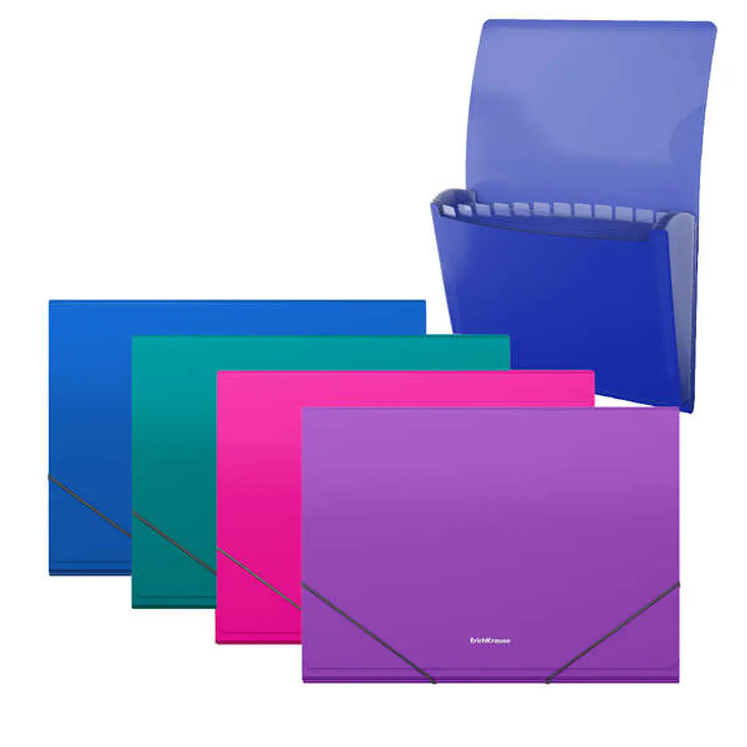 Erichkrause Matt Vivid Carpeta/Clasificador con 12 Fundas A4 - Acabado Mate - Colores Surtidos 1