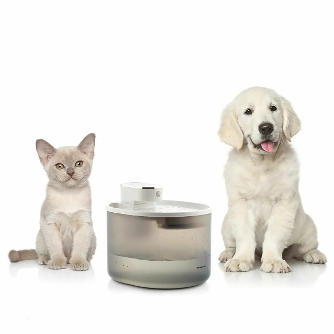 Innovagoods Refopet Fuente para Mascotas con Sensor de Movimiento - Capacidad 3L - Silenciosa - Recargable con USB-C - Incluye Filtros - Facil Limpiez 1