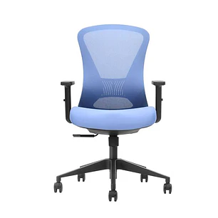 Cromad Senior SE1700 Silla de Oficina - Altura Ajustable con Elevador de Gas de Grado 4 - Soporte Lumbar Ajustable - Asiento con espuma - Ruedas de Na