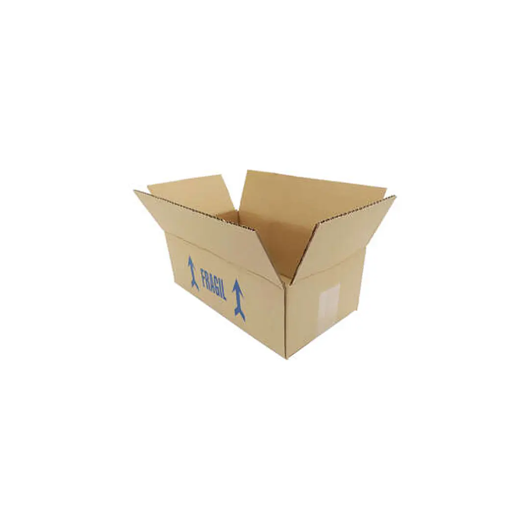 Caja de Carton 31x17x11 cm (Canal 5) 1