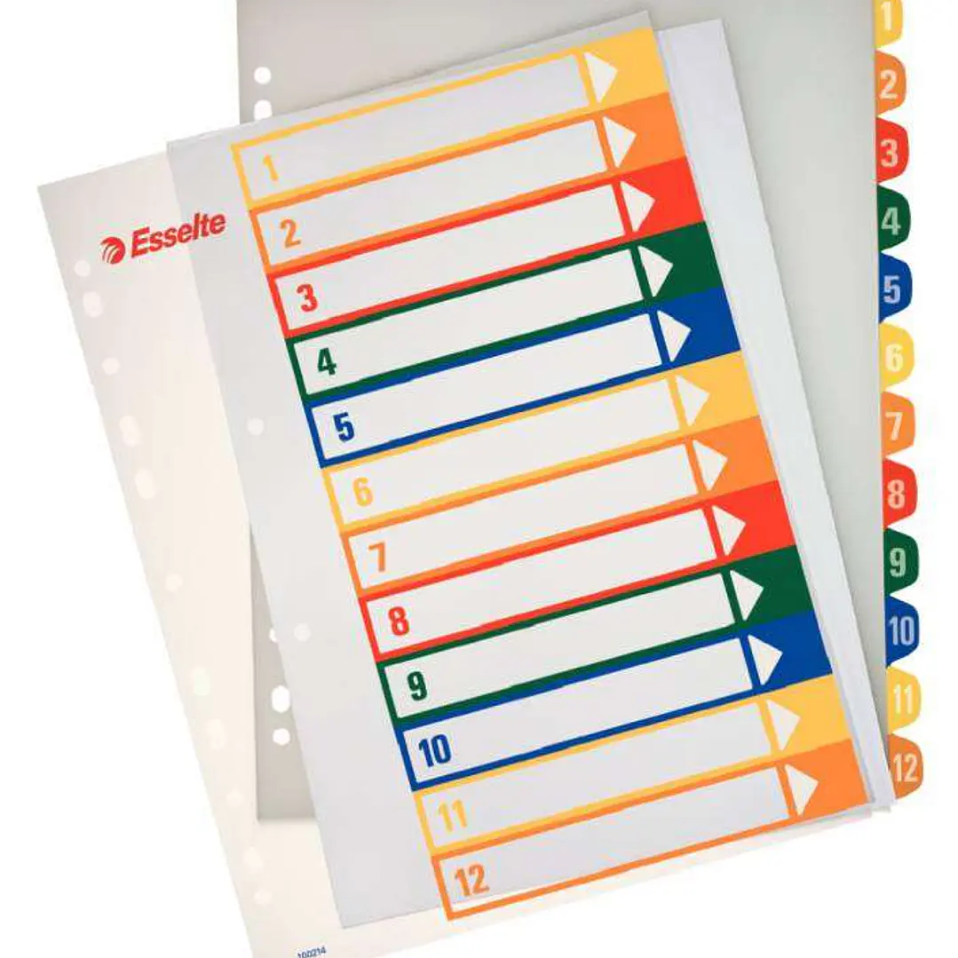 Esselte Indice para Proyectos Imprimible A4 Maxi Tipo 1-12 Multicolor - Multitaladro - Material PP Rigido 300 Micras, Portada 350 Micras 1
