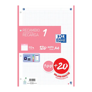 Oxford School Recambio A4 120 Hojas Cuadricula 5x5mm - 4 Taladros - Banda de Color Rosa