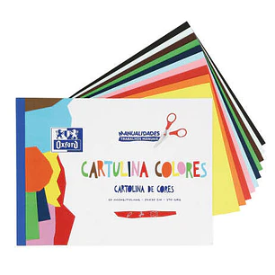 Oxford Bloc Encolado de 10 Cartulinas de Colores Formato A4+ 170gr - Colores Surtidos