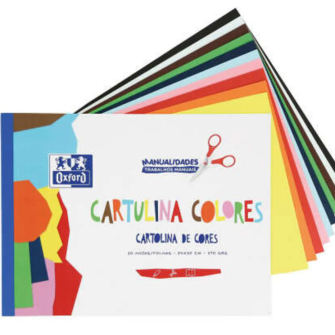 Oxford Bloc Encolado de 10 Cartulinas de Colores Formato A4+ 170gr - Colores Surtidos 1
