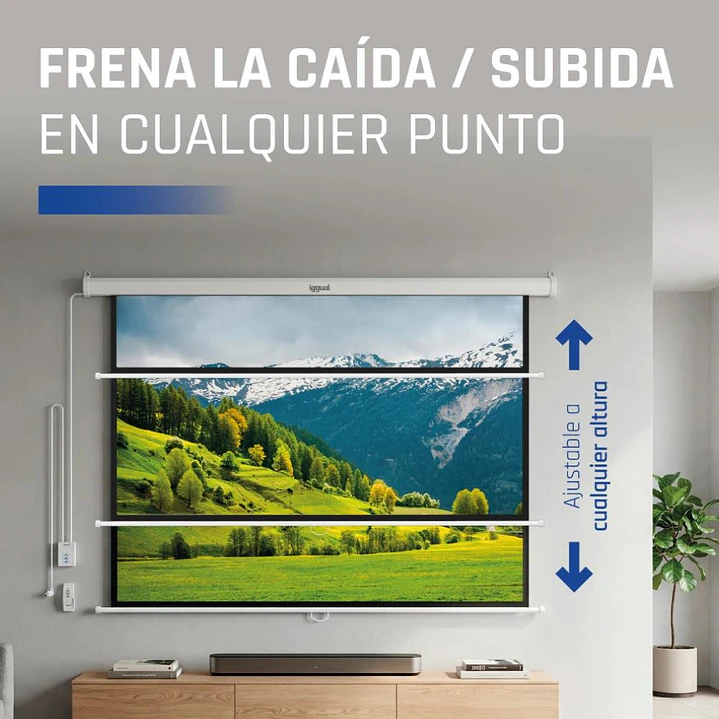 iggual Pantalla eléctrica 1:1 100