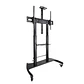 Tooq Soporte Suelo/Pared fijo HIPERION 55