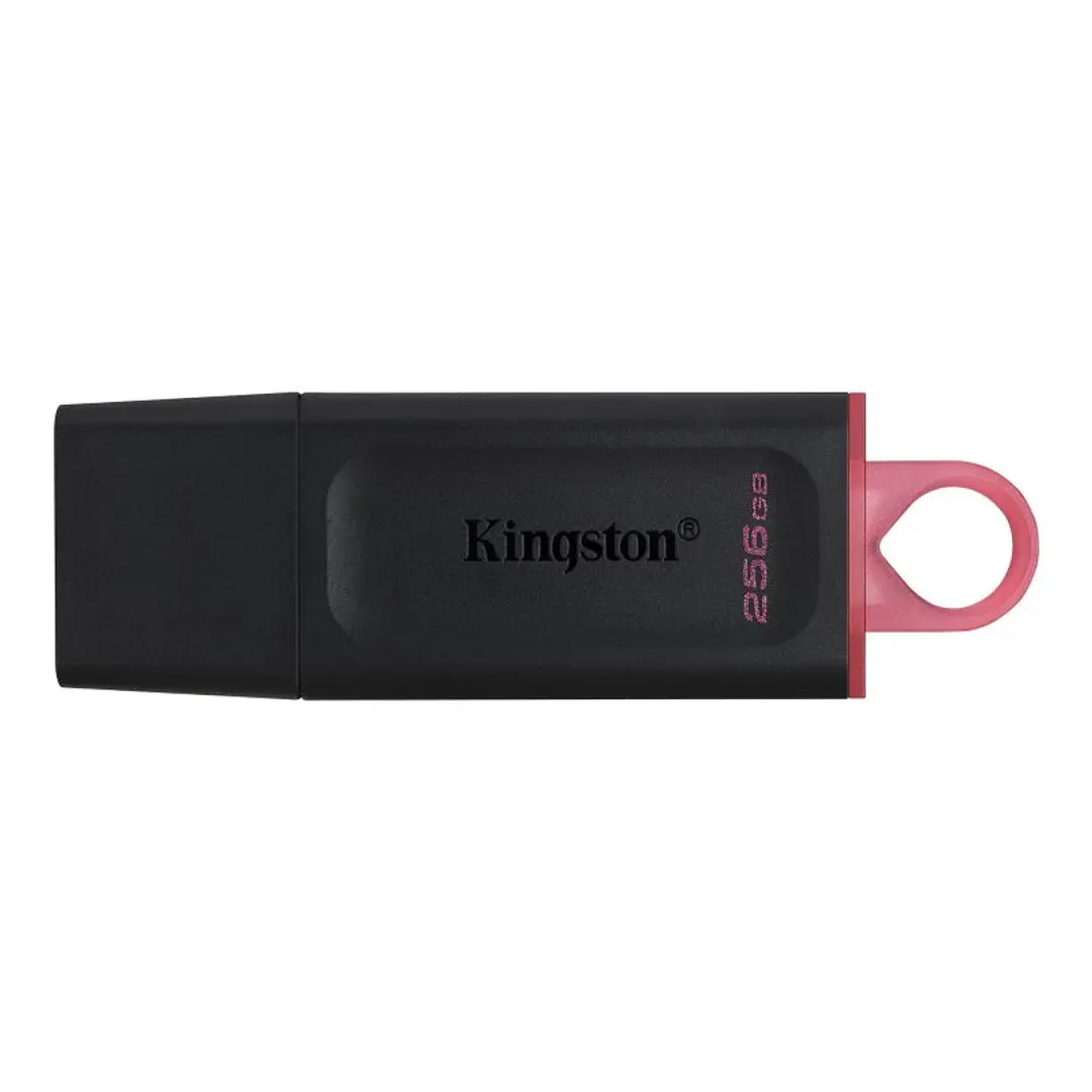 Kingston DataTraveler DTX 256GB USB 3.2 Gen1 Negro 1