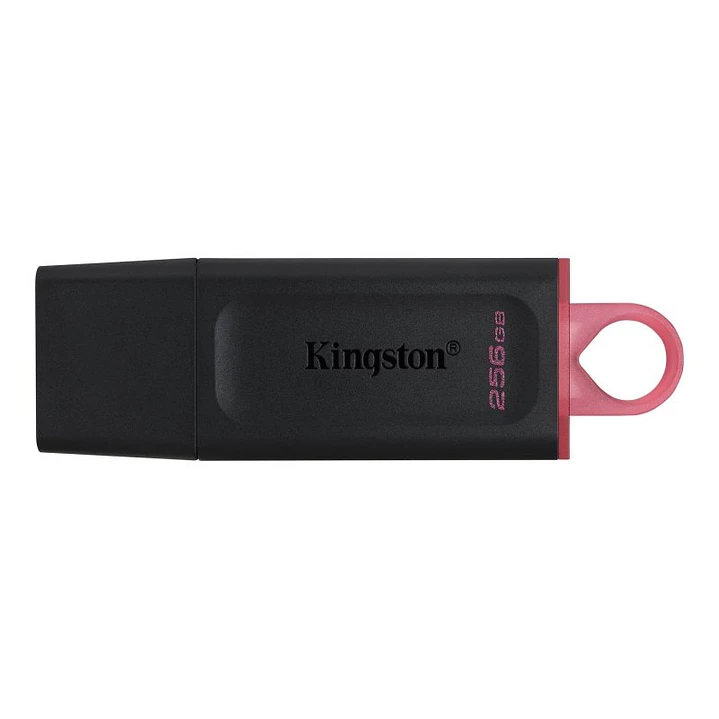 Kingston DataTraveler DTX 256GB USB 3.2 Gen1 Negro 1