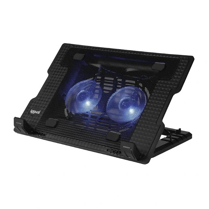 iggual Refrigerador portátil 2 ventiladors RP2V17A 1