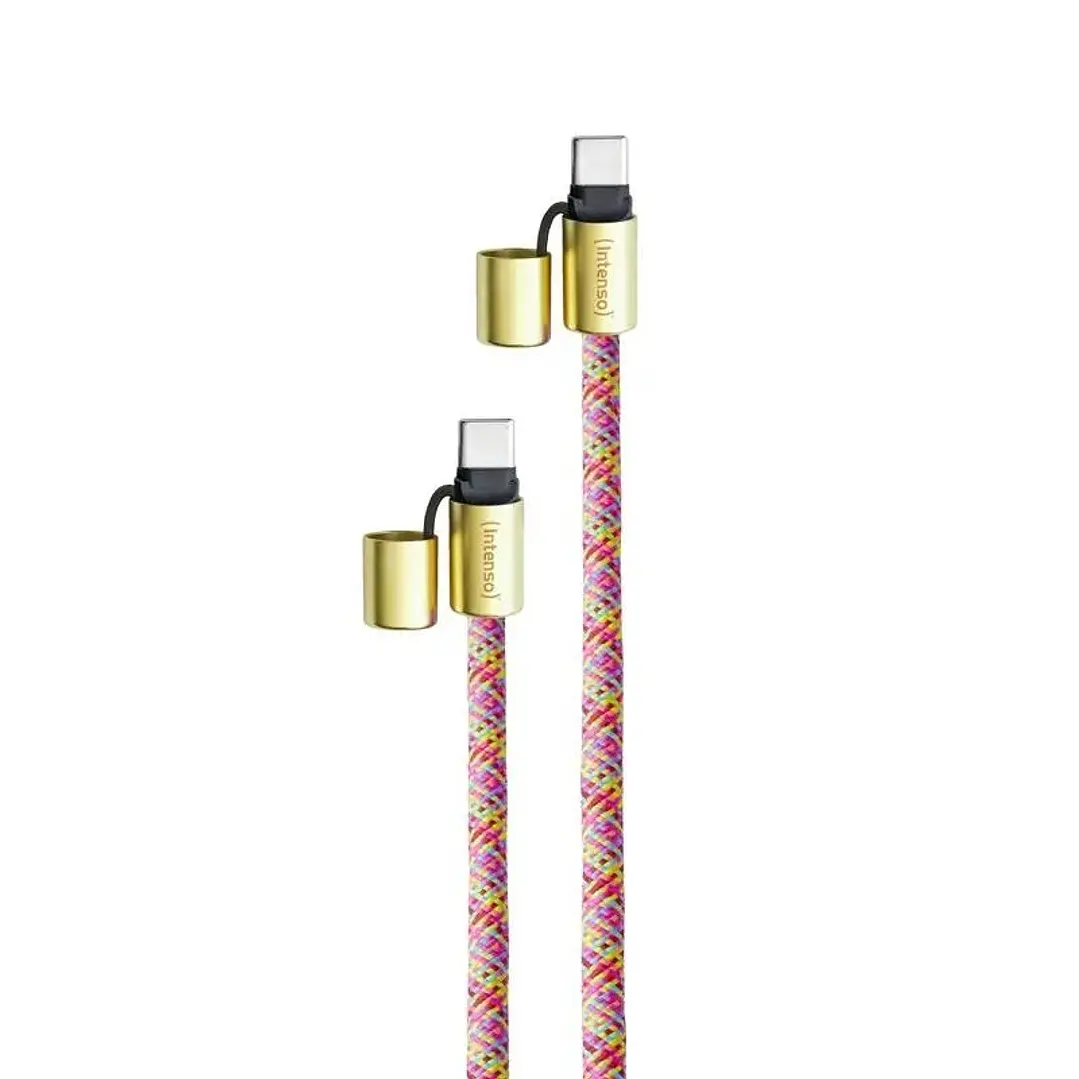 Intenso Lanyard  Cable USB-C  C 1,65 m Neon mix 1