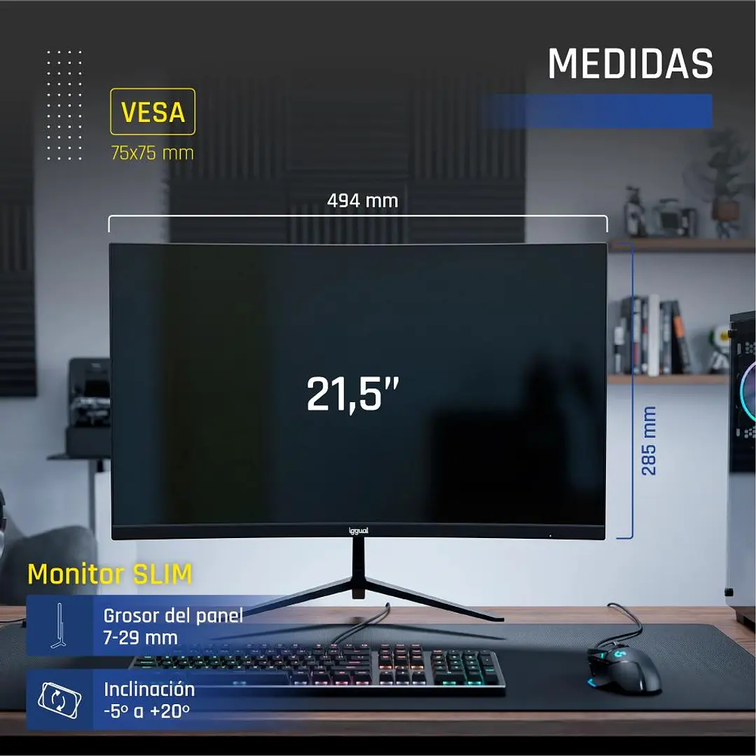iggual Monitor 21,5