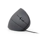 GEMBIRD Ratón óptico USB erg 6 botones cable Negro - Miniatura 2
